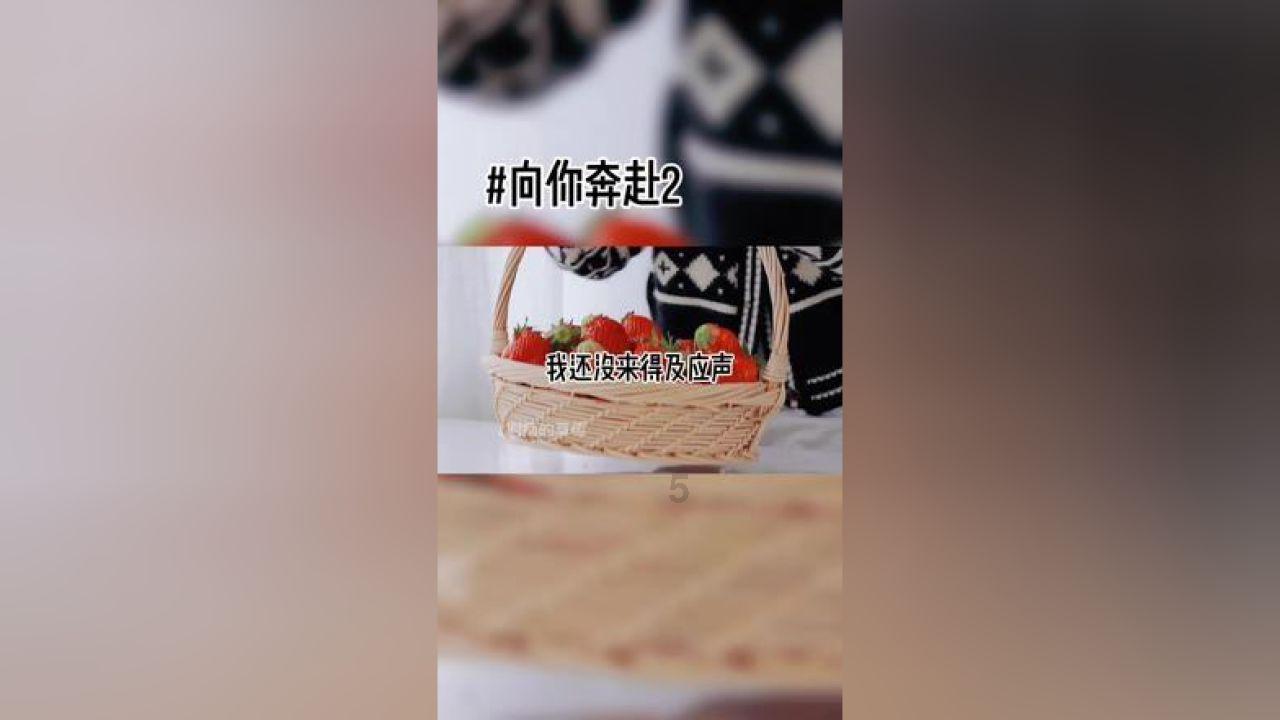 NSK NSK RA系列 RA-AN 直线导轨-RA250475ANC2PHH/10/15 江苏勃曼工业控制技术