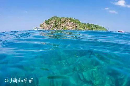 2024全省两会特别报道 代表团长专访 增强首位意识 扛起省会担当 访哈尔滨代表团团长于洪涛