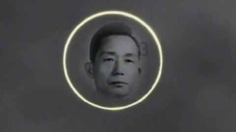 怎么才能在生活中更加如鱼得水？游戏画面